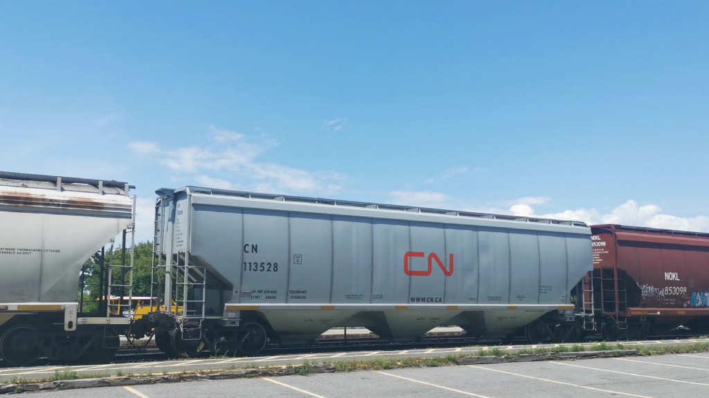 CN 113528